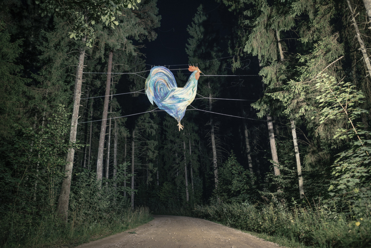 Andrej Polukord. Early Rooster, On the road to Devils Pit, Lithuania, 2015 photo Marius Krivičius