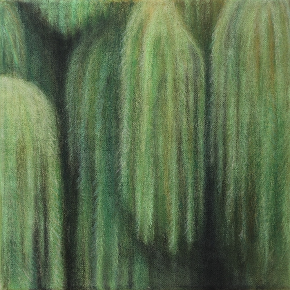 © Anna Lisei Math, untitled (willow), 2023, pastels and coloured pencil on canvas, 25 x 25 cm, image courtesy of the artist
