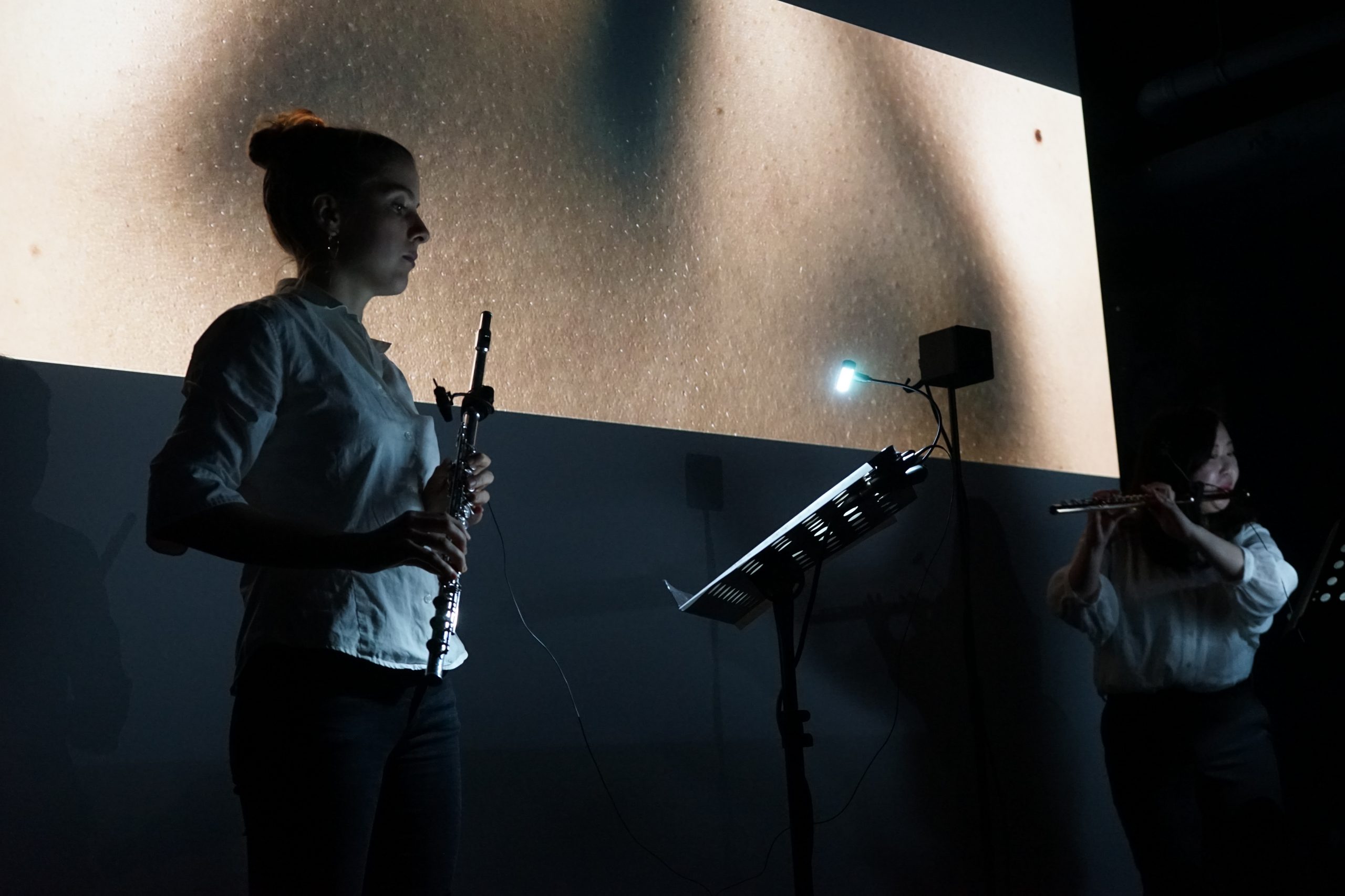 ©Leonie Strecker, Performance of Anhalten for 2 flutes, electronics and video, 2020, photo by Lambert Windges